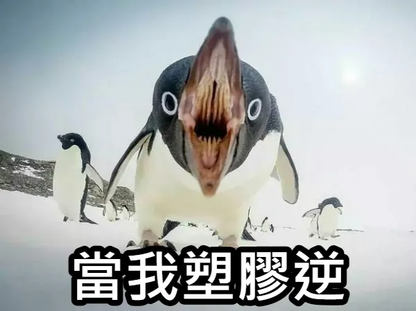 當我塑膠